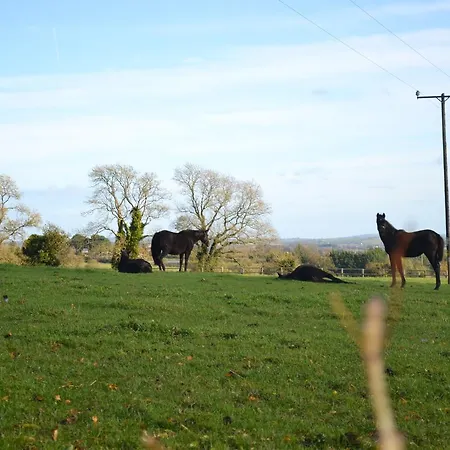 Bed & Breakfast Skryne Castle Ross Cross Roads