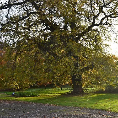 Bed & Breakfast Skryne Castle