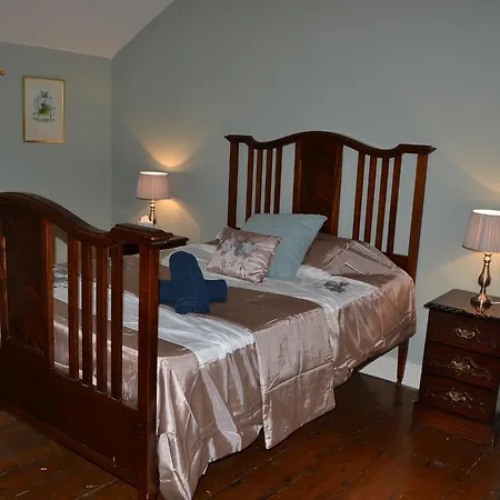 Skryne Castle Bed & Breakfast Ross Cross Roads